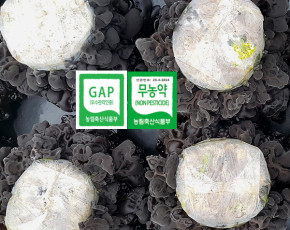 [목이일번지]친환경무농약 목이버섯 생(특)1kg/건조(특)100g