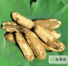 햇 흙연근 1kg 국산 무농약 특품
