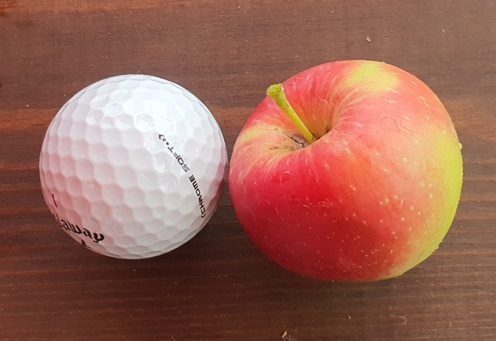 [곡란골 농원] 루비에스 미니 사과 (가정용. 5kg)