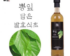 [농업회사법인(주)들산초] 자연비초/뽕잎 담은 발효식초 500ml